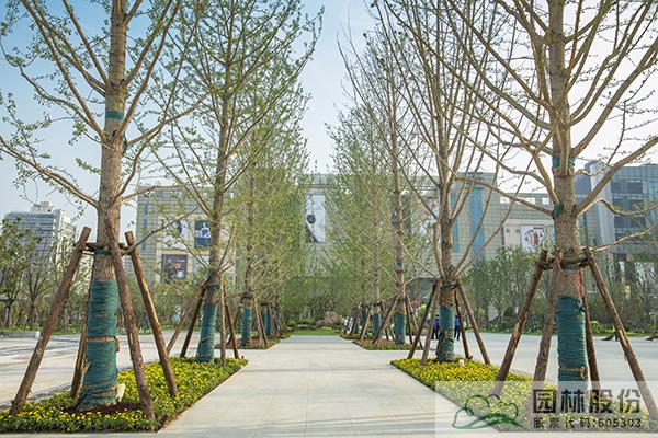 亚洲精品白浆高清久久久久久