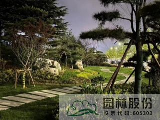 亚洲精品白浆高清久久久久久