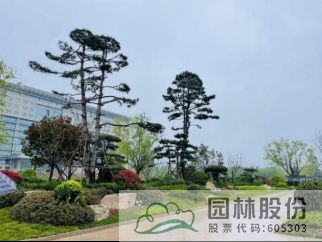 亚洲精品白浆高清久久久久久