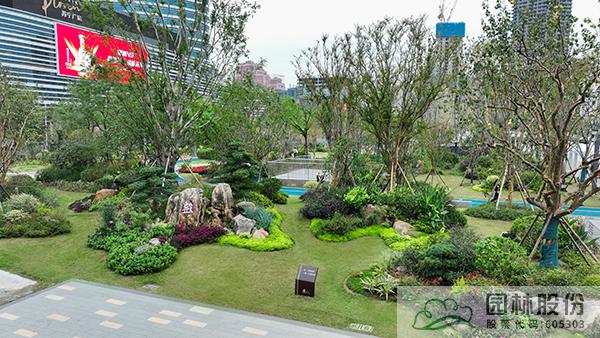 亚洲精品白浆高清久久久久久