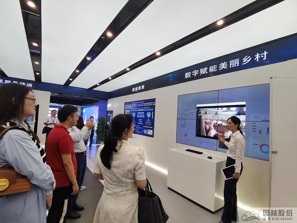 亚洲精品白浆高清久久久久久