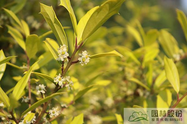 亚洲精品白浆高清久久久久久