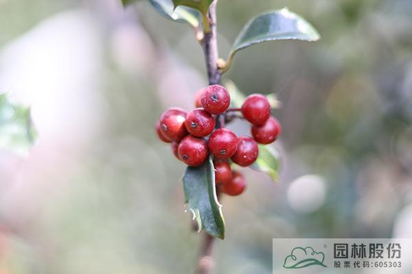 亚洲精品白浆高清久久久久久