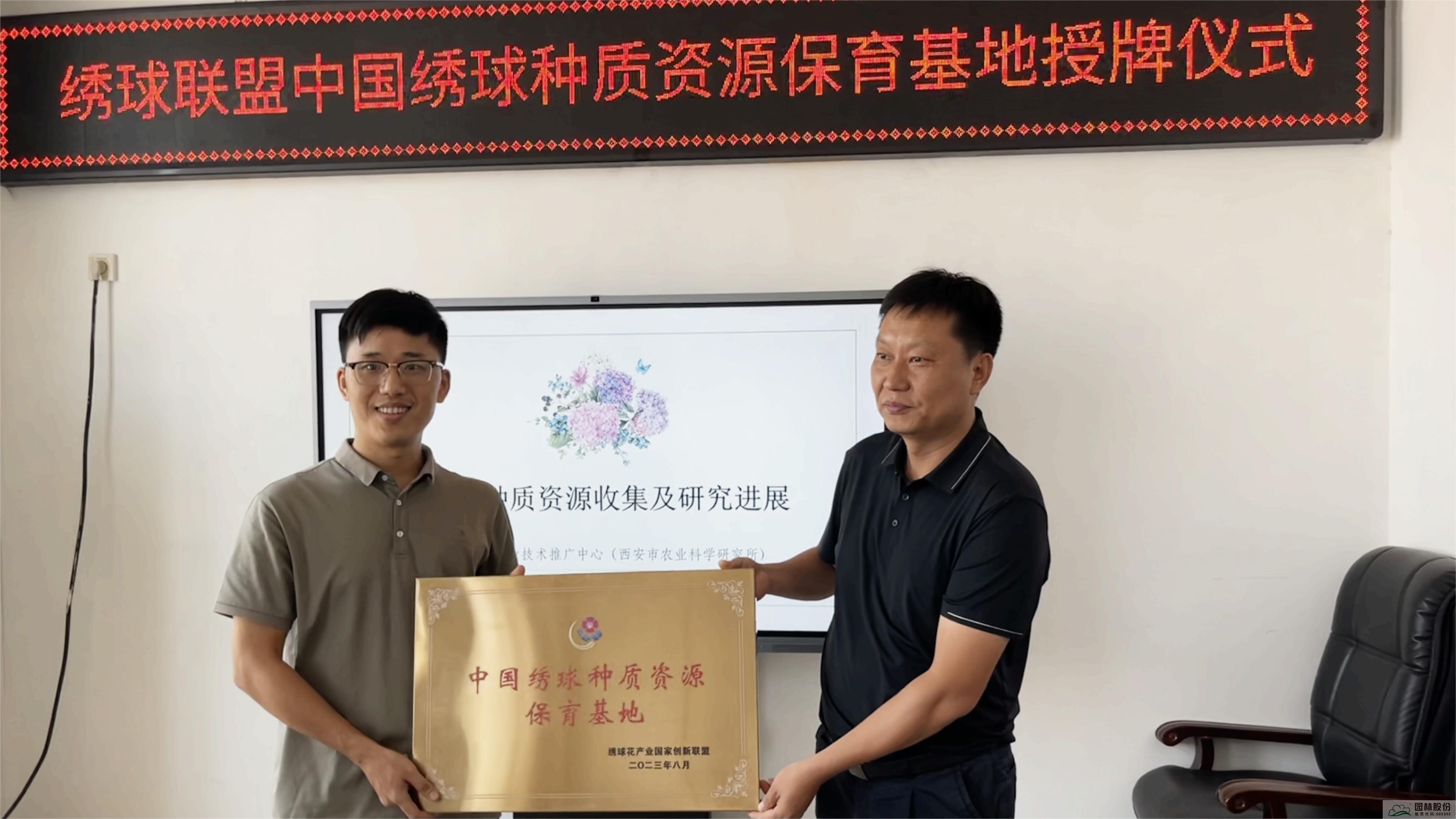 亚洲精品白浆高清久久久久久