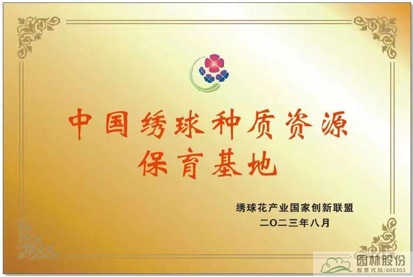 亚洲精品白浆高清久久久久久