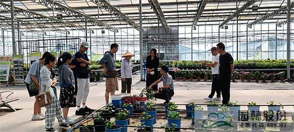 亚洲精品白浆高清久久久久久