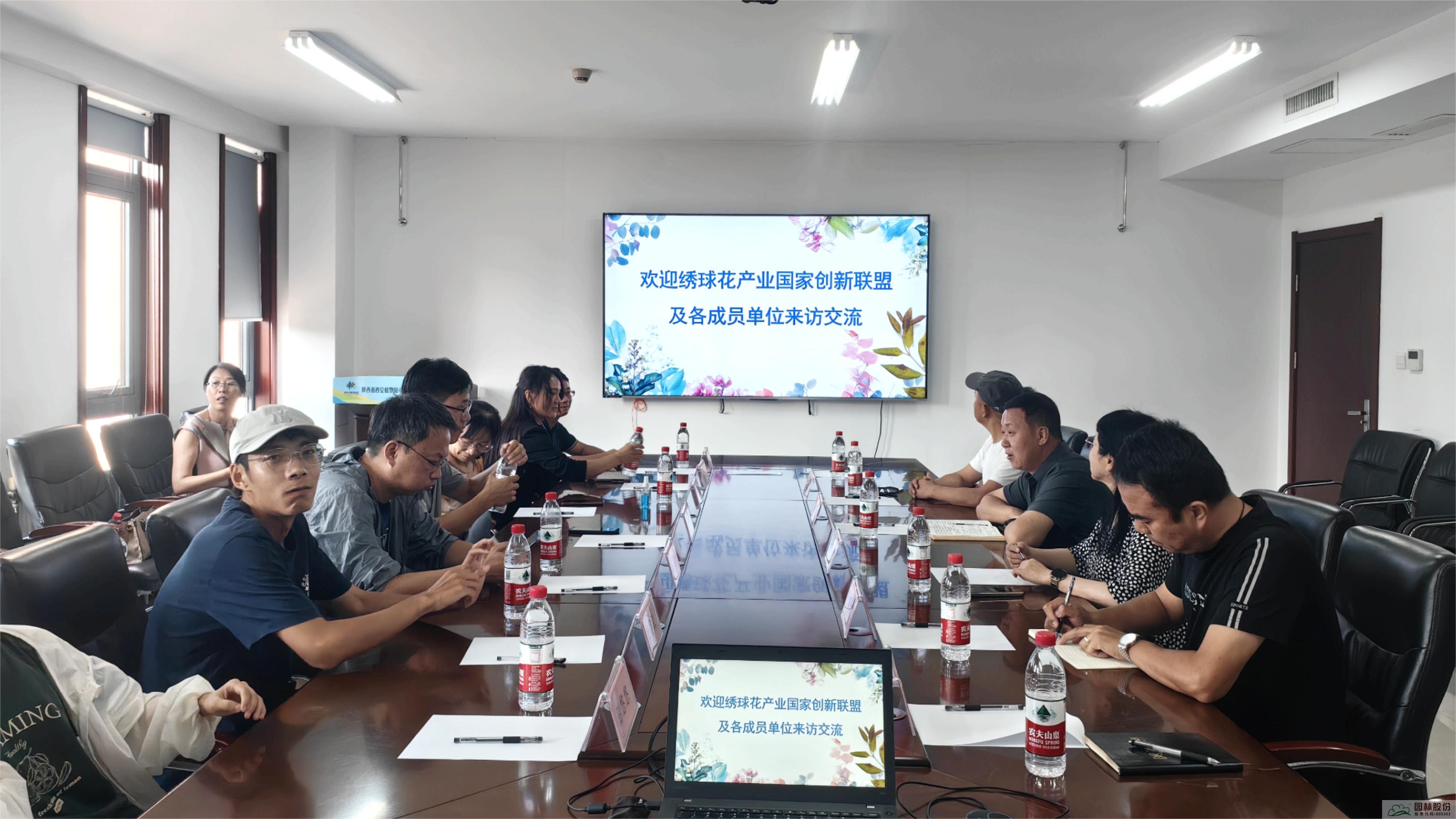 亚洲精品白浆高清久久久久久