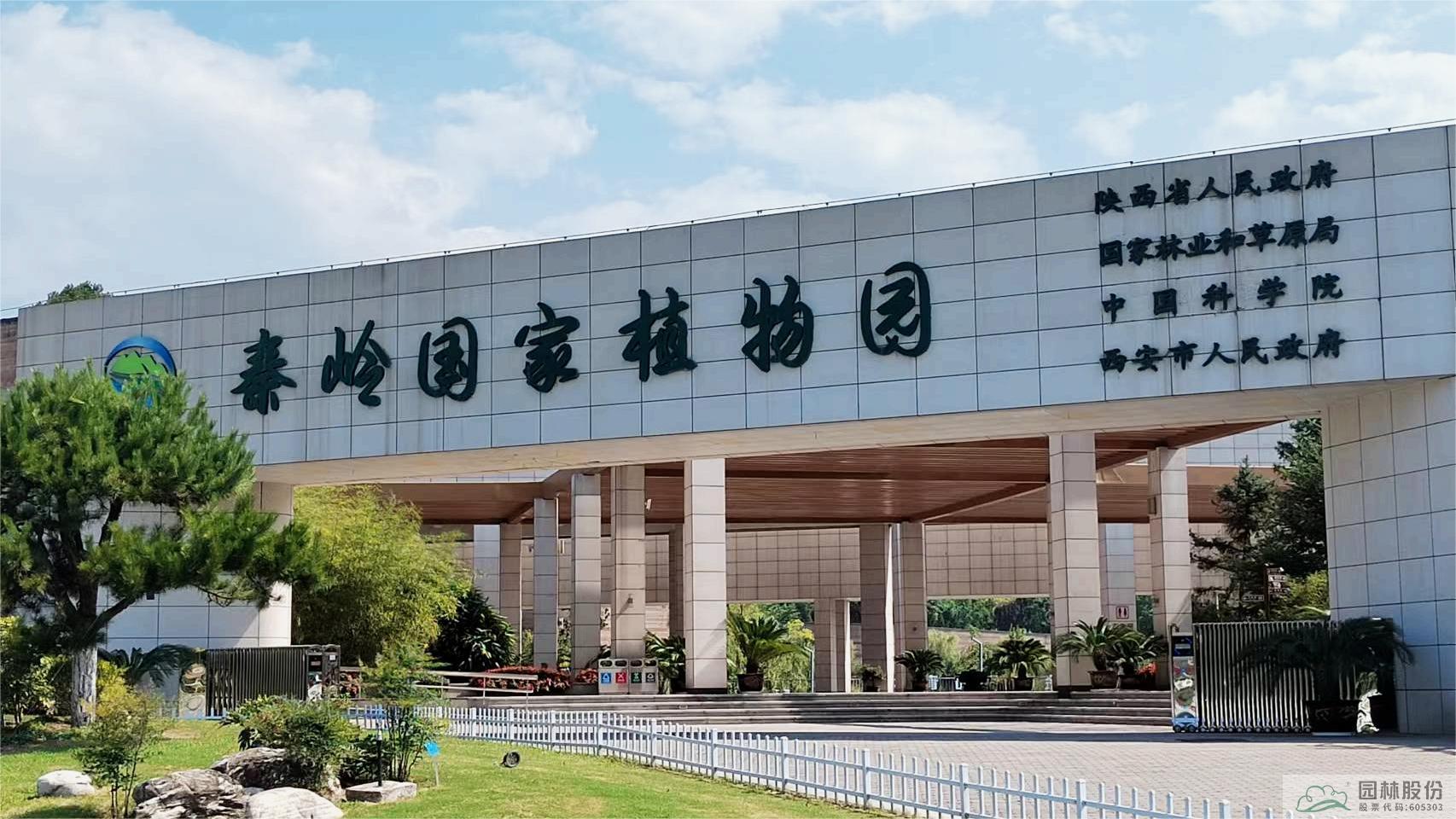 亚洲精品白浆高清久久久久久