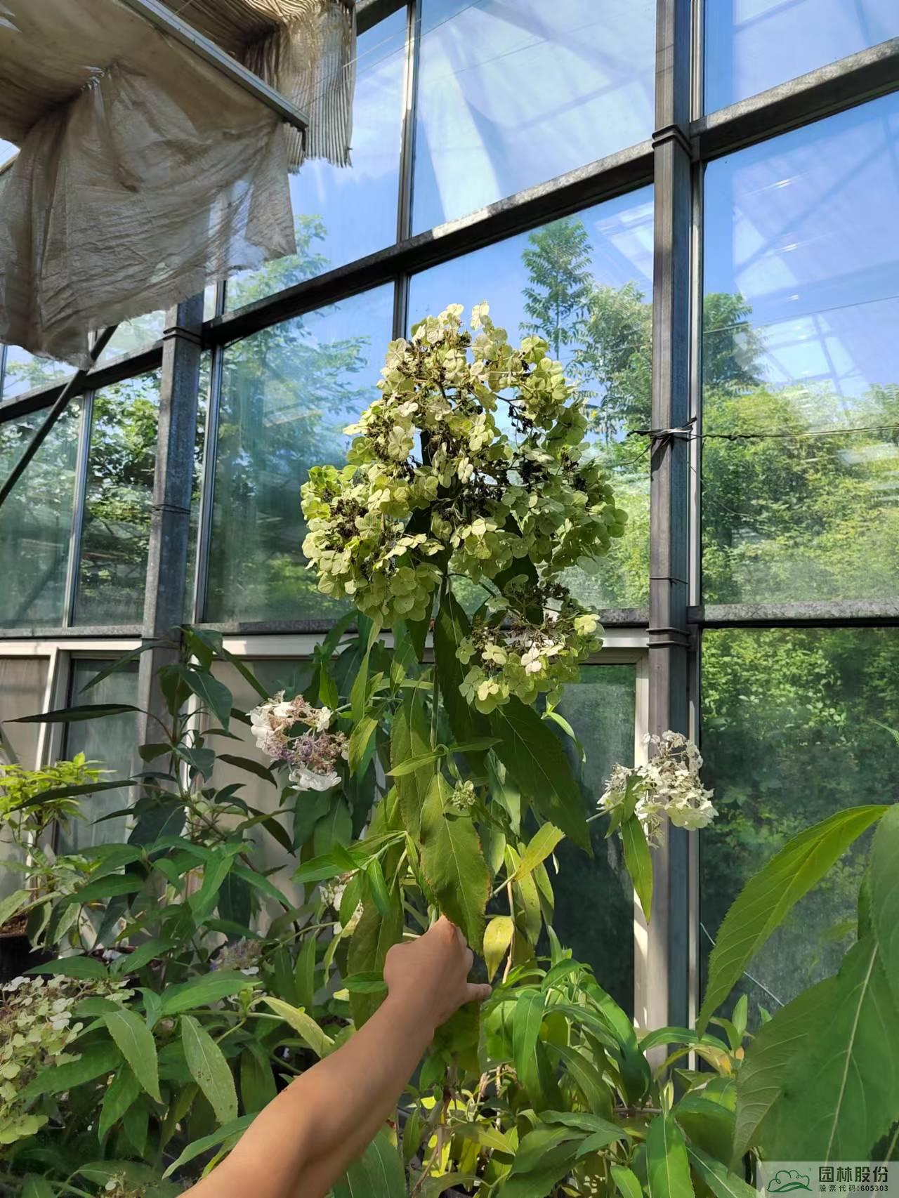 亚洲精品白浆高清久久久久久