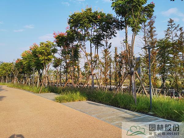 亚洲精品白浆高清久久久久久