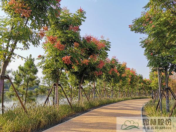 亚洲精品白浆高清久久久久久