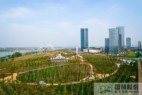 亚洲精品白浆高清久久久久久