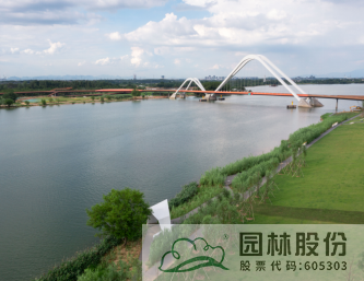 亚洲精品白浆高清久久久久久