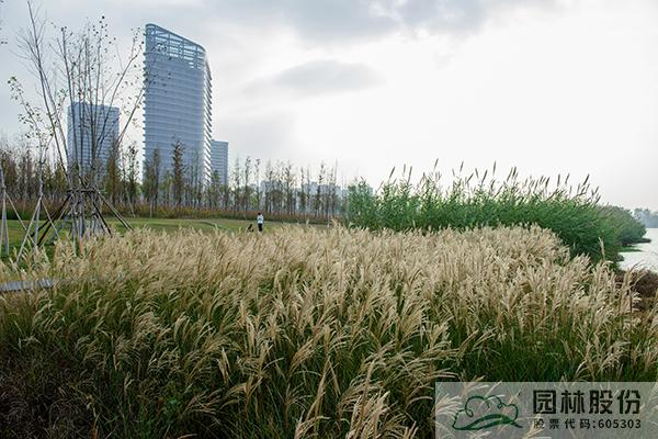 亚洲精品白浆高清久久久久久