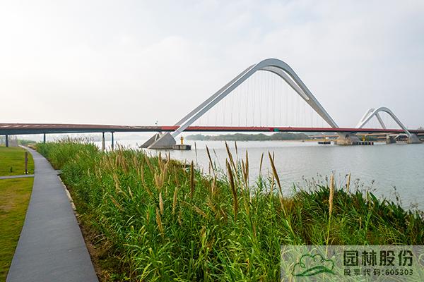 亚洲精品白浆高清久久久久久