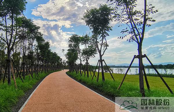 亚洲精品白浆高清久久久久久