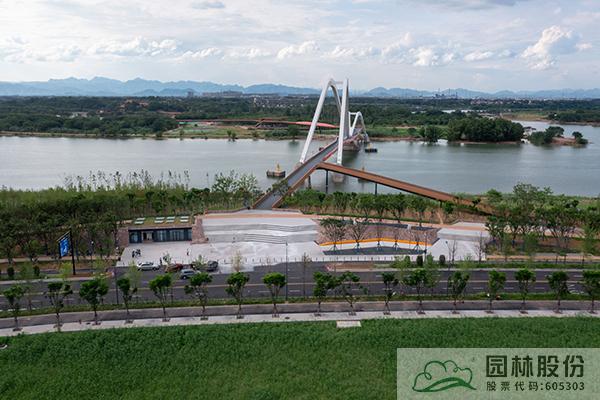 亚洲精品白浆高清久久久久久