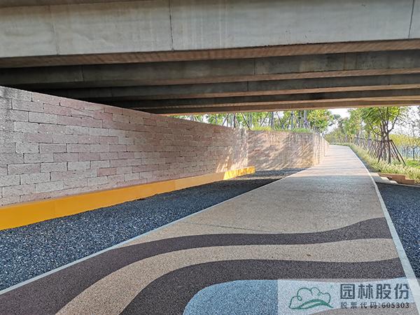 亚洲精品白浆高清久久久久久