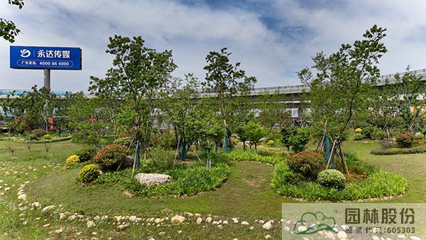 亚洲精品白浆高清久久久久久