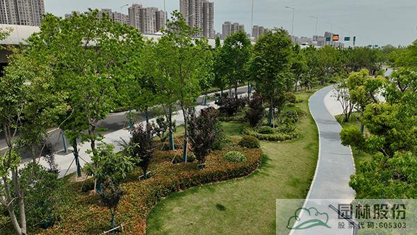 亚洲精品白浆高清久久久久久