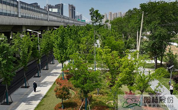 亚洲精品白浆高清久久久久久