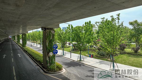 亚洲精品白浆高清久久久久久