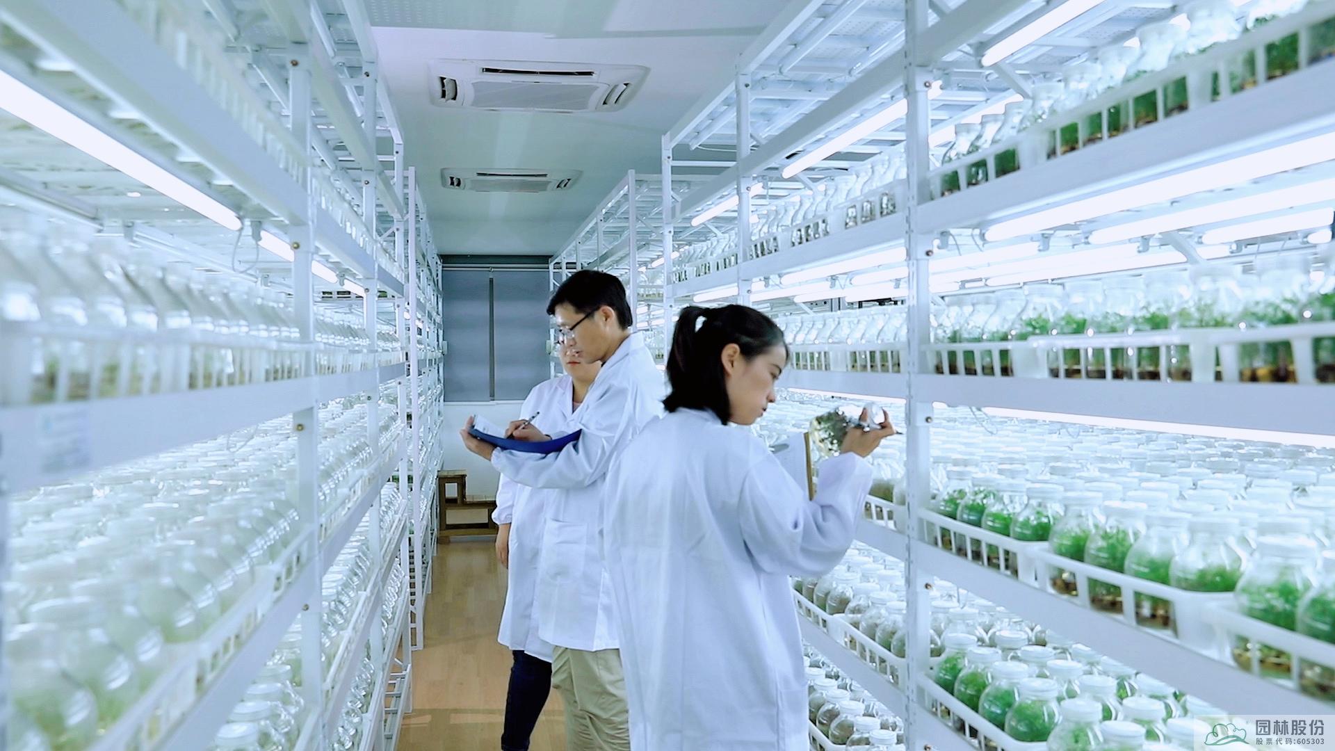 亚洲精品白浆高清久久久久久