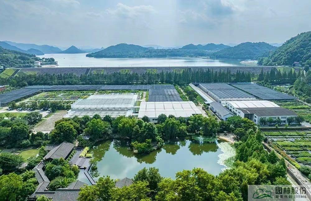 亚洲精品白浆高清久久久久久