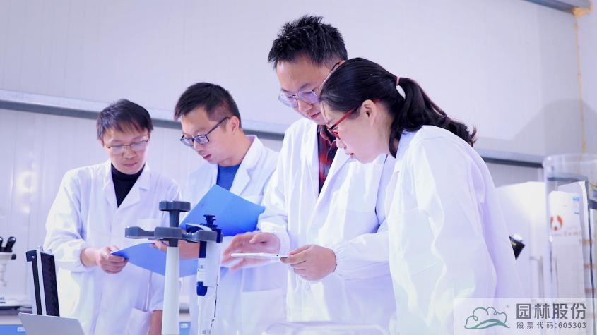 亚洲精品白浆高清久久久久久