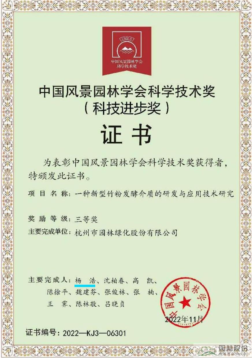 亚洲精品白浆高清久久久久久