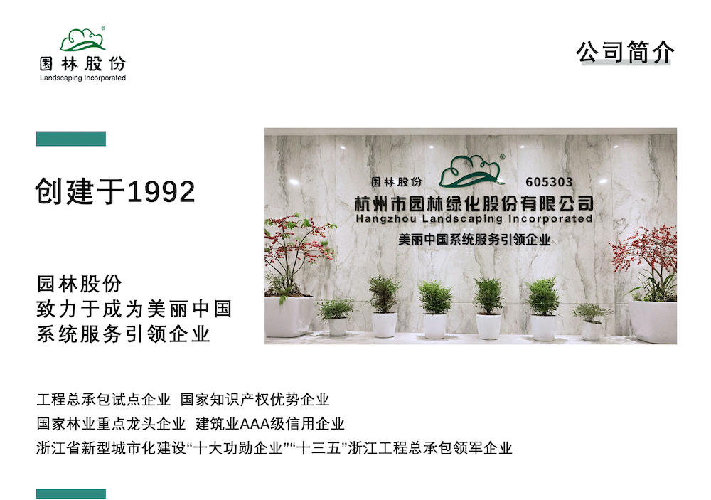 亚洲精品白浆高清久久久久久