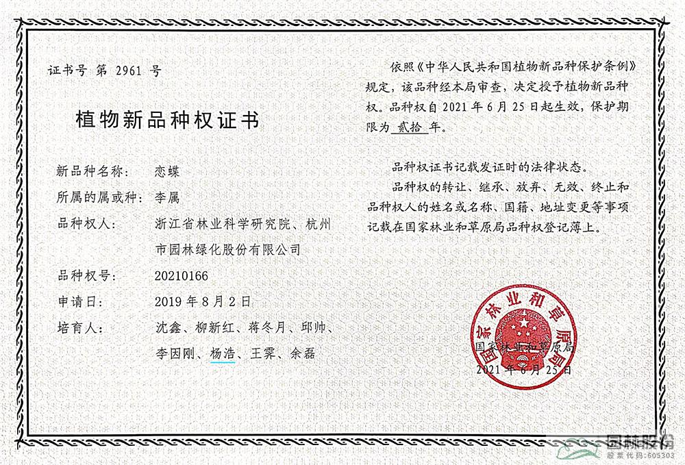 亚洲精品白浆高清久久久久久