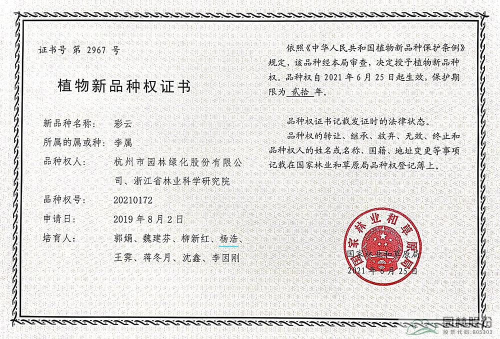 亚洲精品白浆高清久久久久久