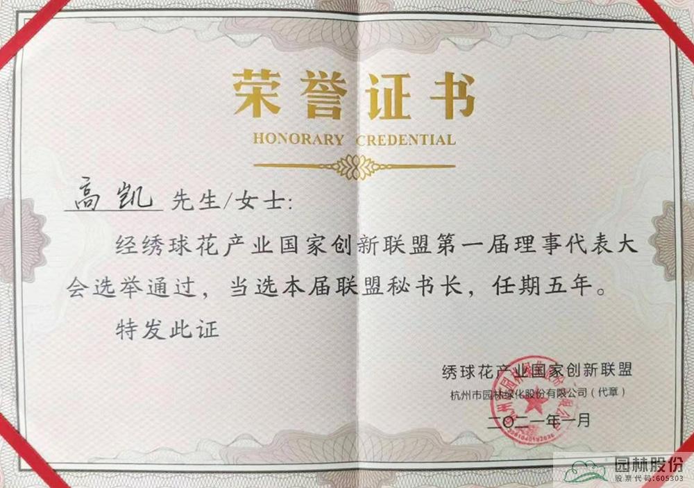 亚洲精品白浆高清久久久久久