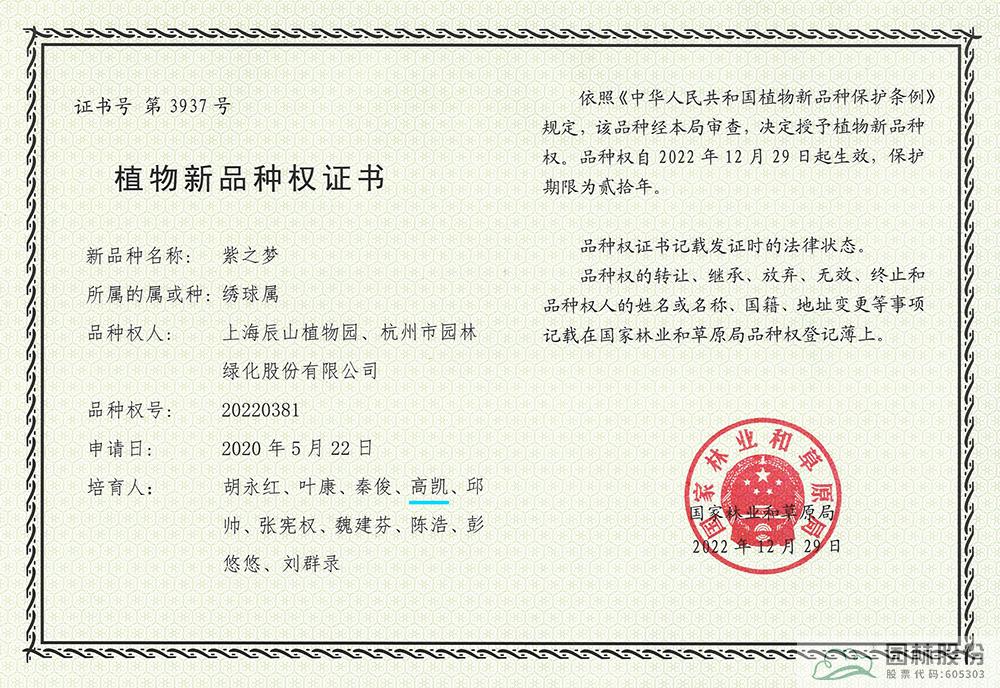 亚洲精品白浆高清久久久久久