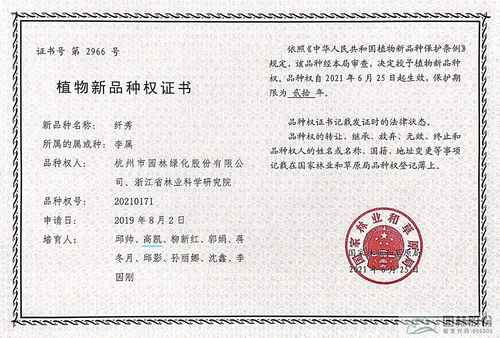 亚洲精品白浆高清久久久久久