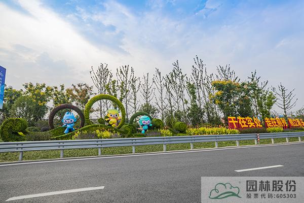 亚洲精品白浆高清久久久久久