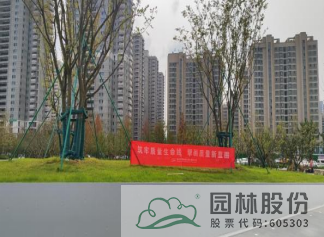 亚洲精品白浆高清久久久久久