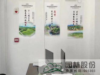 亚洲精品白浆高清久久久久久