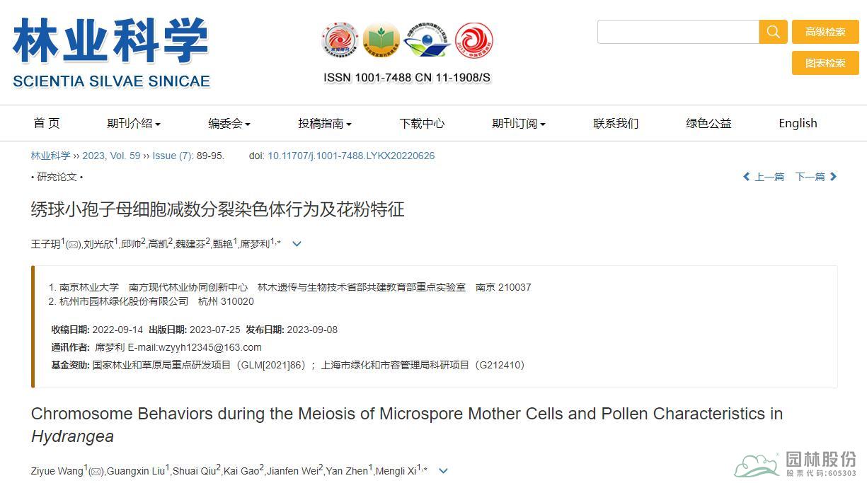 亚洲精品白浆高清久久久久久