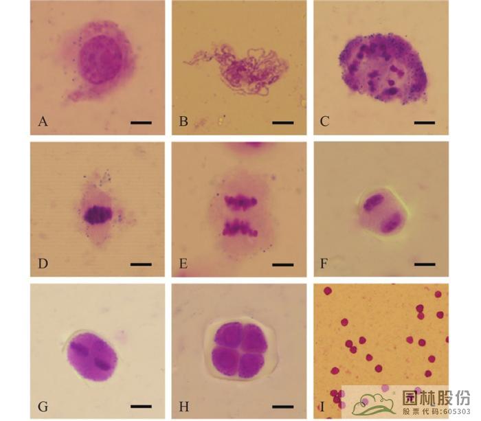 亚洲精品白浆高清久久久久久