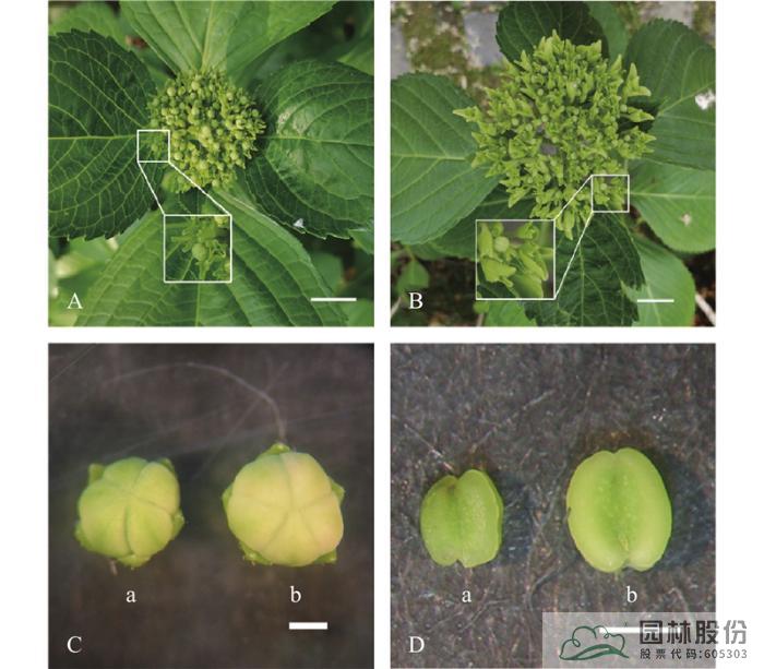亚洲精品白浆高清久久久久久