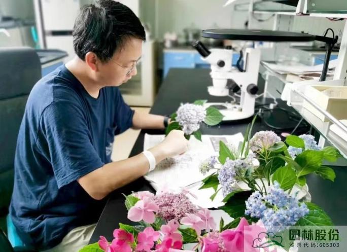 亚洲精品白浆高清久久久久久