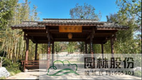 亚洲精品白浆高清久久久久久