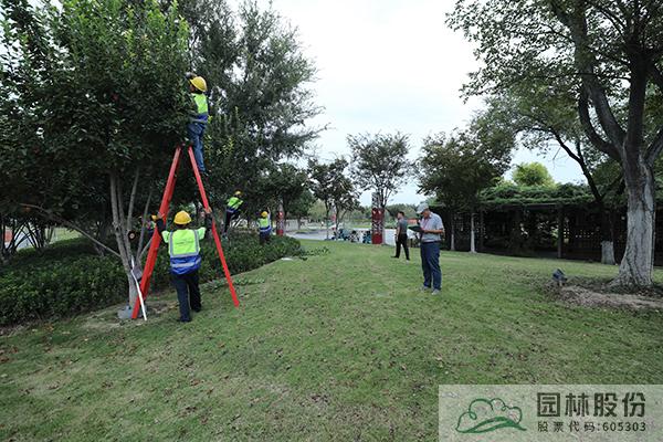 亚洲精品白浆高清久久久久久