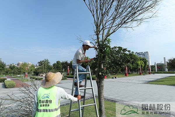 亚洲精品白浆高清久久久久久