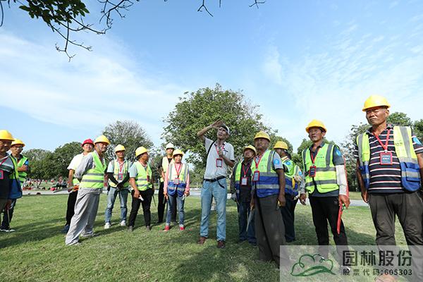 亚洲精品白浆高清久久久久久