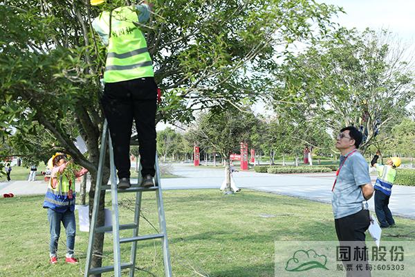 亚洲精品白浆高清久久久久久