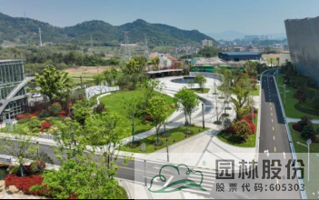 亚洲精品白浆高清久久久久久