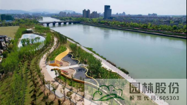 亚洲精品白浆高清久久久久久